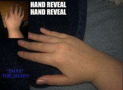 The_shady hand temp Meme Template