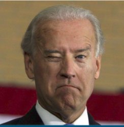 Biden Meme Template