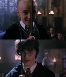 Asuntado Potter ni un poco Meme Template
