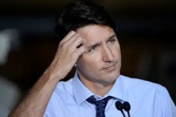 Trudeau head scratch Meme Template