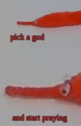 Pick a god Meme Template