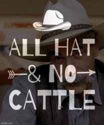Sarcasm cowboy all hat no cattle Meme Template