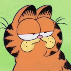 Garfield does not care Meme Template
