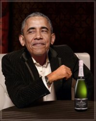 Obama: The Most Interesting Man in the World Meme Template