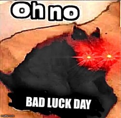 OH NO BAD LUCK DAY Meme Template