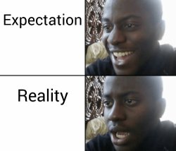 Expectation vs Reality Meme Template