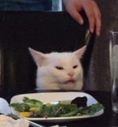 You Not Ready Bish Meme Template