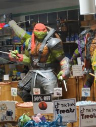 Ninja Turtle candy store Meme Template