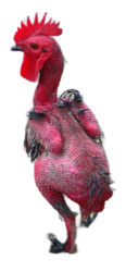 Funny chicken png Meme Template