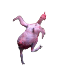 Funny chicken png #3 Meme Template