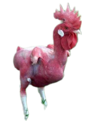 Funny chicken png #4 Meme Template