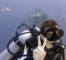 Shark behind a diver Meme Template