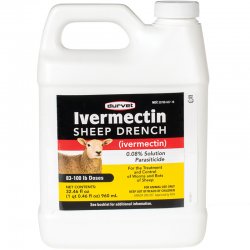 Ivermectin sheep Meme Template