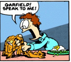 Garfield speak to me! Meme Template