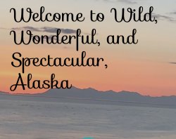 Spectacular-Alaska.com Meme Template