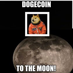 dogecoin Meme Template