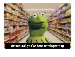 kermit store nothing wrong Meme Template