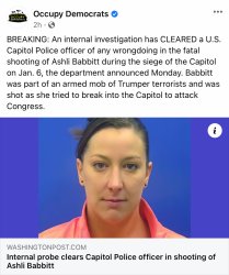 Ashli Babbitt terrorist Meme Template