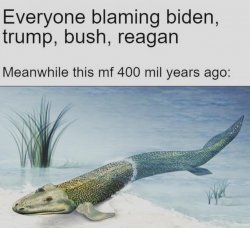 Land fish Meme Template