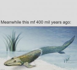 Land fish Meme Template