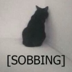 [sobbing] Meme Template