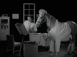 Dr. ED Meme Template