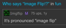 It’s pronounced image flip Meme Template