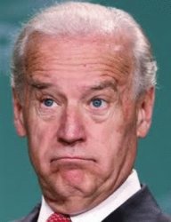 Biden doofus Meme Template