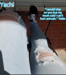 Yachi's shoe temp Meme Template