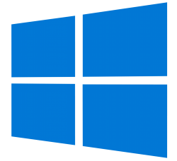 Windows logo Meme Template