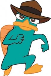 Perry The Platypus 2007-2015 Meme Template