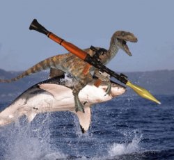 rgp shark velocirapor Meme Template