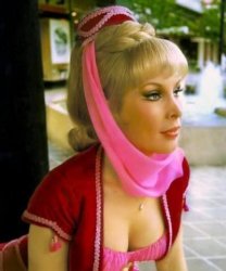 Barbara Eden Meme Template