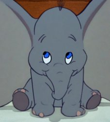 Dumbo Meme Template