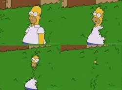 Homer Hedge Meme Template