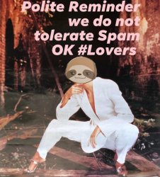 Sloth we do not tolerate spam Meme Template