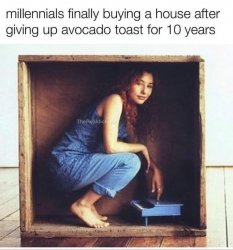 Millennial house Meme Template