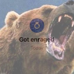 Rage bear got enraged today Meme Template