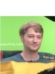 everything hurts Meme Template