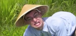 Welcome to the Rice Paddy Meme Template