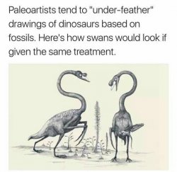 Dino swans Meme Template