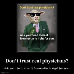 Ivermectin don’t trust real physicians Meme Template