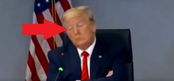 President Trump falls asleep during a covid-19 briefing Meme Template