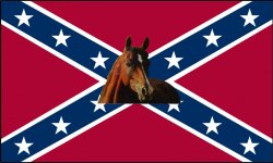 Conservative Flag Meme Template
