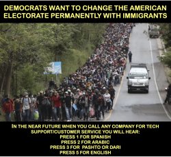 Dems change electorate Meme Template