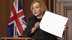 Judith Collins Meme Template