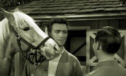 MISTER ED AND FRIENDS Meme Template