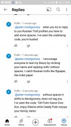 Russian troll profile check Meme Template