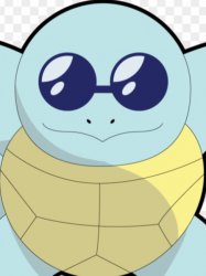 squirtle Meme Template