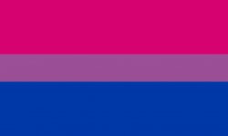 Bi flag Meme Template